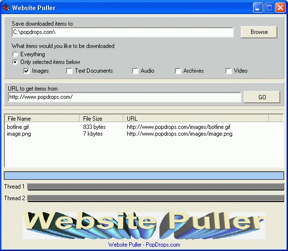 Website Puller Screenshot